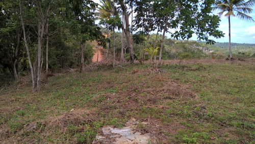 Fazenda 34 Hec. À Venda Em Taperoá-bahia