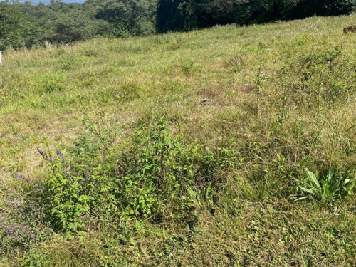 Terreno En Venta En Club De Campo Los Zarzos, Sl
