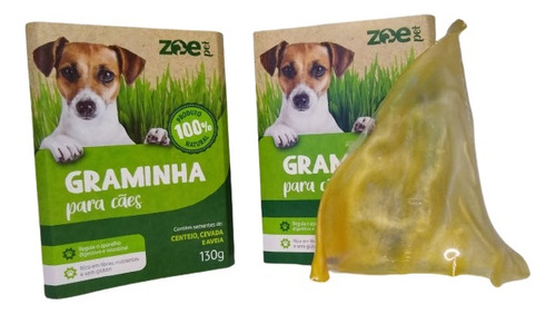 Kit 02 Graminha Cachorro Petisco Pet Grama Auxilia Digestao 