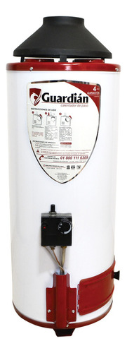 Boiler De Paso Gas Natural 7.8l 2.5 Servicios Encendido Piez Color Blanco