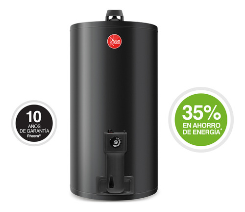 Termotanque Rheem Gas Natural 80litros Tgnc080rh Colgar
