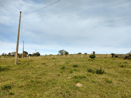 Chácara 15.000 M² - Passo Grande - Glorinha - Rs - 1514 - 32420035
