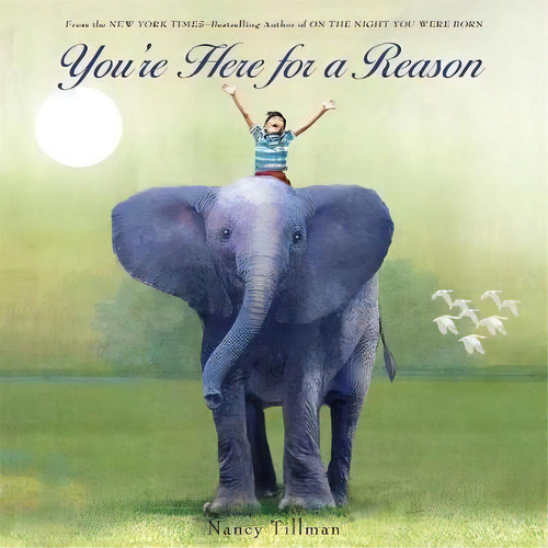 You're Here For A Reason, De Nancy Tillman. Editorial St Martins Press En Inglés