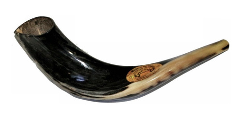Imagem 2 de 5 de Shofar Chifre De Carneiro De Tocar - De Israel