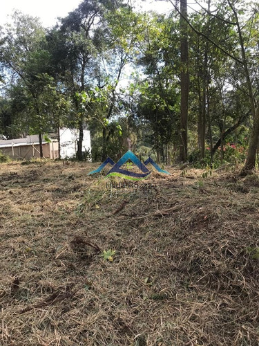 Imagem 7 de 7 de Terreno - Centro - Ref: 1247 - V-1247