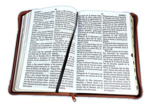Imagen 2 de 3 de Biblia Reina Valera 1960 Letra Super Gigante 19 Puntos Marró