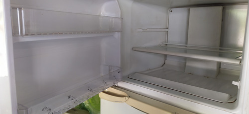 Heladera Patrick Fagor Fresh Line 2000 220v (usada) Blanco (Usado)