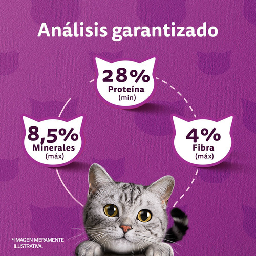 Imagen 7 de 11 de Whiskas Alimento Seco Para Gato Adulto Sabor Pescado 10kg