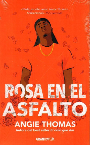 Rosa En El Asfalto