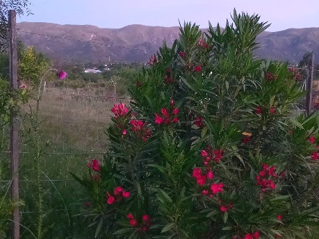 Cabañas Punto Giardino. Relax, Privacidad Y Calidez Todo En Un Mismo Lugar. Se Destaca Por Su Paisaje Y Tranquilidad De Las Sierras.