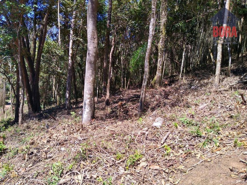 Imagem 3 de 6 de Terreno À Venda, 1365 M² Por R$ 60.000 - Mato Dentro - Mairiporã/sp - Te0308