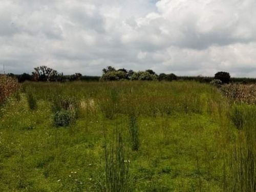 Imagen 6 de 10 de Se Vende Terreno En Calimaya, Estado De México