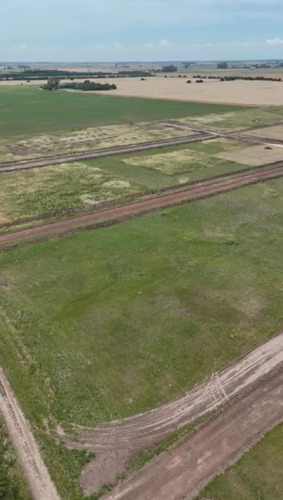 Venta Lote Las Margaritas