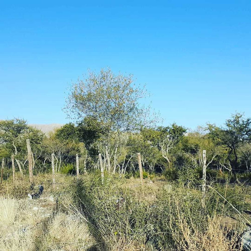 Imagen 2 de 3 de Lotes En Venta Marte Y Chumamaya, Merlo San Luis.