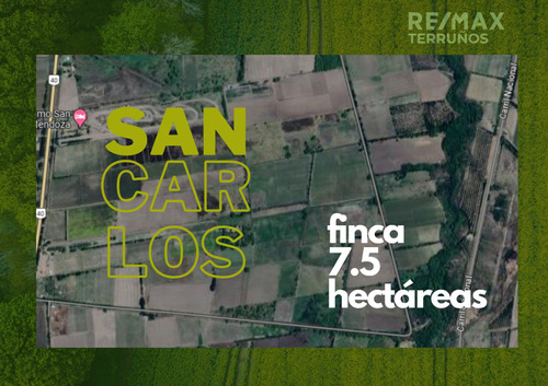 Oportunidad Finca 7,5 Ha. San Carlos