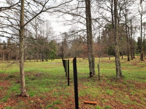 Venta! 2 Parcelas De 5000 Mts2 C/u En Sector Huite Los Lagos