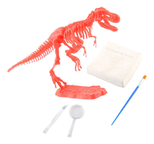 Kit De Excavación De Fosils De Dinosaurio Para Niños