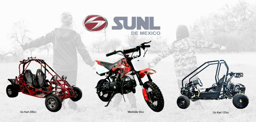 Tipo Raizer 200cc Utv Buggy Todoterreno Adulto Nuevo.