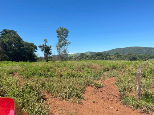 Imagem 9 de 9 de Excelente Fazenda Dupla Aptidão Município Nazario Goiás