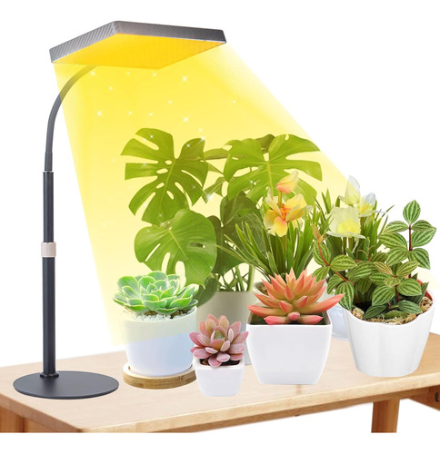 Luces De Cultivo De Escritorio Para Plantas De Interior, Luz