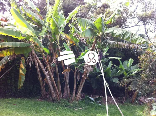 Espectacular Lote Ideal Para Finca O Casa Vereda Cabeceras Llanogrande