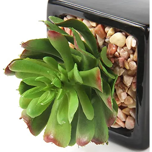 Pequeñas Suculentas Artificiales, Juego De 3 Plantas S...