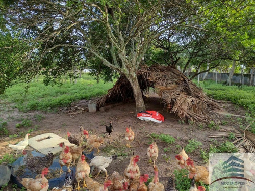 Imagem 7 de 22 de Granja A Venda Na Lagoa Do Bonfim, Nísia Floresta