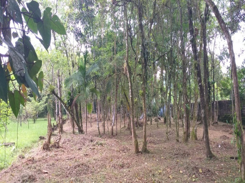 Imagem 4 de 10 de Terreno Em Área De Chácara - 6531 - 69840740