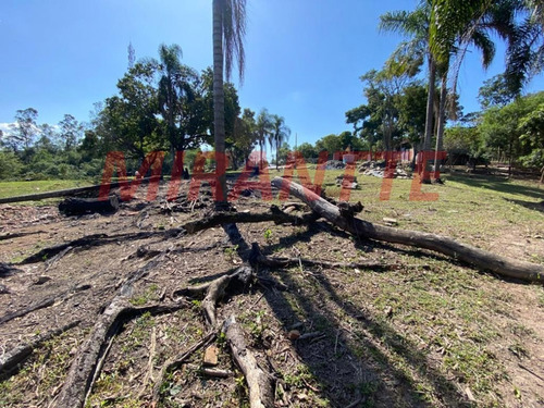 Imagem 2 de 18 de Terreno Em São Vicente - Mairiporã, Sp - 371687