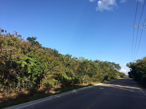Imagen 6 de 8 de Venta De Terreno, Para Inversionistas Con Excelente Ubicació