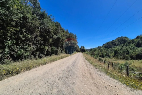 Venta Parcela En Condominio Rio Puntra Ancud