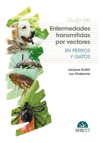 Guãâa De Enfermedades Transmitidas Por Vectores En Perros Y Gatos, De Guillot, Jacques. Editorial Servet, Tapa Blanda En Español