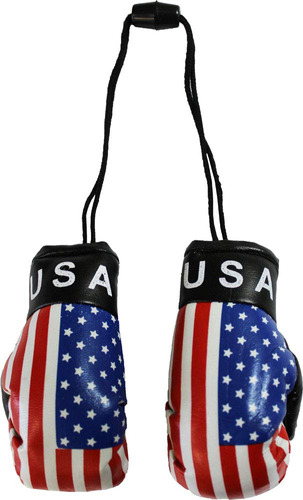 Flagline Usa Mini Guants Boxeo