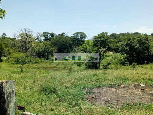 Imagem 7 de 13 de Chácara Para Venda - 1534
