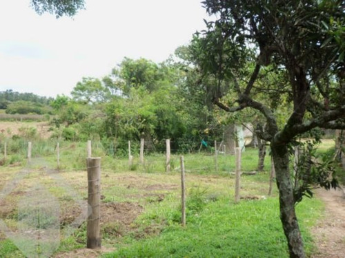 Imagem 2 de 10 de Terreno - Aberta Dos Morros - Ref: 83942 - V-83942