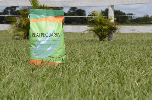 Sementes De Grama Batatais Incrustada (1 Kg Rende Até 150m2)