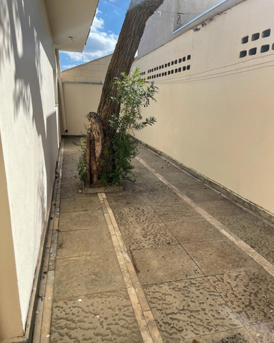 Imagem 6 de 18 de Casa - Ca01174 - 69948907