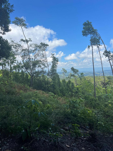 Solares De 500m2 En Jarabacoa Con Vista Al Pueblo