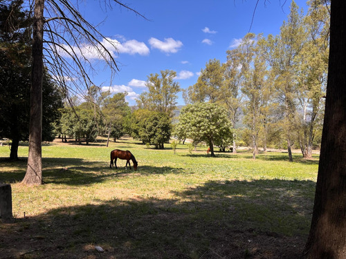 Lotes En Venta Villa General Belgrano El Bosquecillo Cód 2144