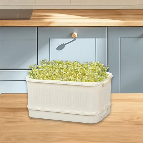 Sprouts Bandeja De Inicio De La Bandeja Herramienta De