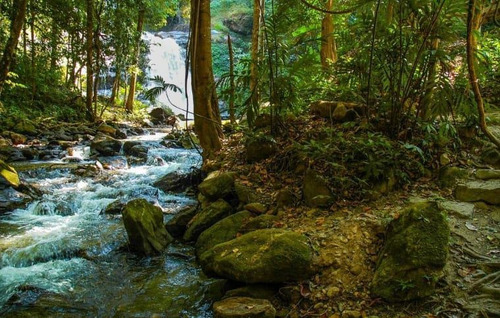 Imagen 2 de 4 de Venta Terrenos Bosques De Andino.