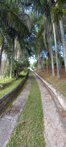 Imagem 14 de 14 de Bela Chácara Em Salesópolis!!!