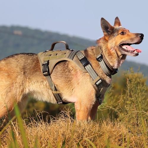 Arnés Táctico Para Perro, Sin Tirones Y Hebilla De Metal, Co