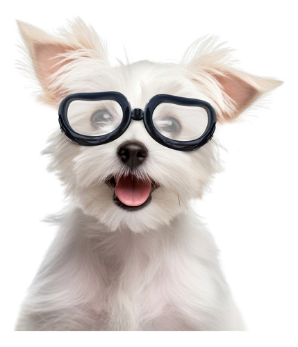 Gafas De Sol Perros, Cachorros Mascotas Transparentes Gafas