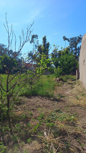 Lote En Venta En Grünbein 350m2