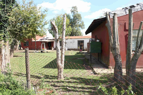 Imagen 14 de 25 de Venta Campo 83,3 Hectareas Agrícolas En Lima
