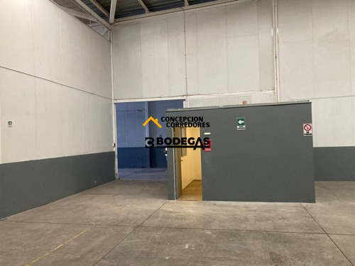 Arriendo Bodega C/of De 234 M2 En Ruta Los Libertadores.