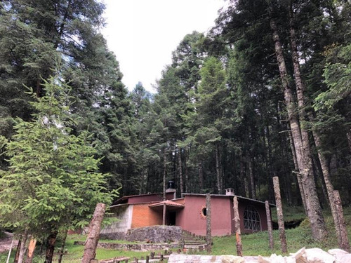 Imagen 4 de 12 de Terreno En Venta Mineral Del Monte Centro