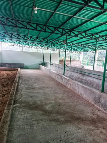 Venta De Finca - Cordero