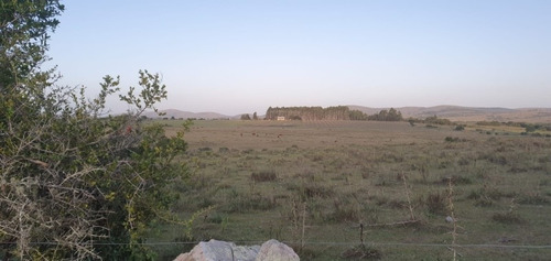 Chacras De 5 Hectareas Pueblo Eden Ruta 12 Punta Del Este